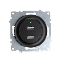 Розетка USB 2-я для зарядки, Черный, OneKeyElectro 1E10351303