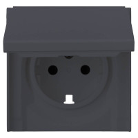 Лицевая панель розетки с З/К с крышкой, Базальт, Rikett 35634 BT