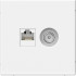 Розетка комп.+тв. RJ45+TV Cat. 5e, Лотос, ArtGallery SE GAL001389