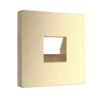 Лицевая панель телефонной розетки RJ11, Шампань рифленный, Werkel W1192010