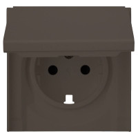 Лицевая панель розетки с З/К с крышкой, Капучино, Rikett 35634 CP