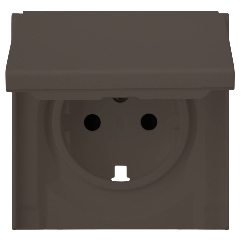 Лицевая панель розетки с З/К с крышкой, Капучино, Rikett 35634 CP