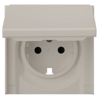 Лицевая панель розетки с З/К с крышкой, Лен, Rikett 35634 LN