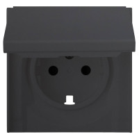 Лицевая панель розетки с З/К с крышкой, Черный сатин, Rikett 35634 MB