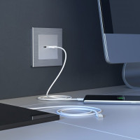 Розетка USB для зарядки A+C, Серебряный, Werkel W1171806