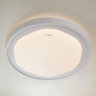 Потолочный светильник Eurosvet 40006/1 LED белый