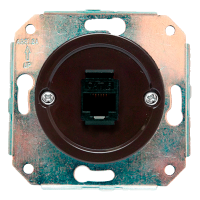 Розетка компьютерная RJ45 (внутренний монт.), Коричневый, Salvador CL.INT.BR