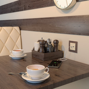 Розетка USB для зарядки A+C, Слоновая кость, Werkel W1171803