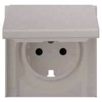 Лицевая панель розетки с З/К с крышкой, Платина, Rikett 35634 PL