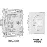 Розетка с З/К, Темная бронза матовый, ALFA Quant Ambrella Volt MA636010