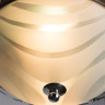 Потолочный светильник Arte Lamp 28 A3008PL-2CC