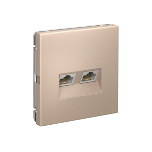 Розетка компьютерная 2-ая RJ45 Cat. 5e, Песочный, ArtGallery SE GAL001285