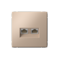Розетка компьютерная 2-ая RJ45 Cat. 5e, Песочный, ArtGallery SE GAL001285