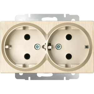 Розетка двойная с З/К без шторок 16А 250В, Шампань рифленый, Werkel W1172010