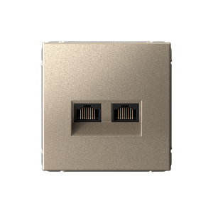 Розетка компьютерная 2-ая RJ45 Cat. 5e, Шампань, ArtGallery SE GAL000585