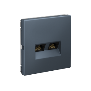 Розетка компьютерная 2-ая RJ45 Cat. 5e, Грифель, ArtGallery SE GAL000785