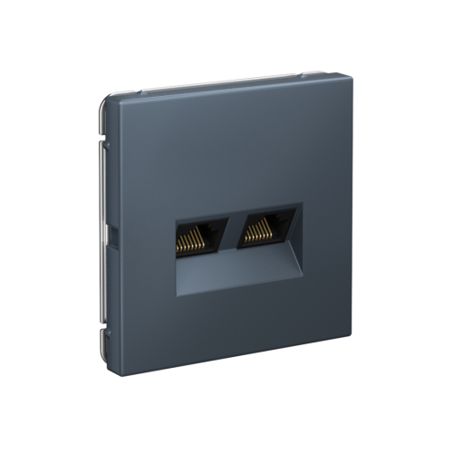 Розетка компьютерная 2-ая RJ45 Cat. 5e, Грифель, ArtGallery SE GAL000785