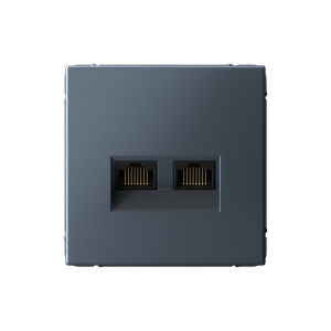 Розетка компьютерная 2-ая RJ45 Cat. 5e, Грифель, ArtGallery SE GAL000785