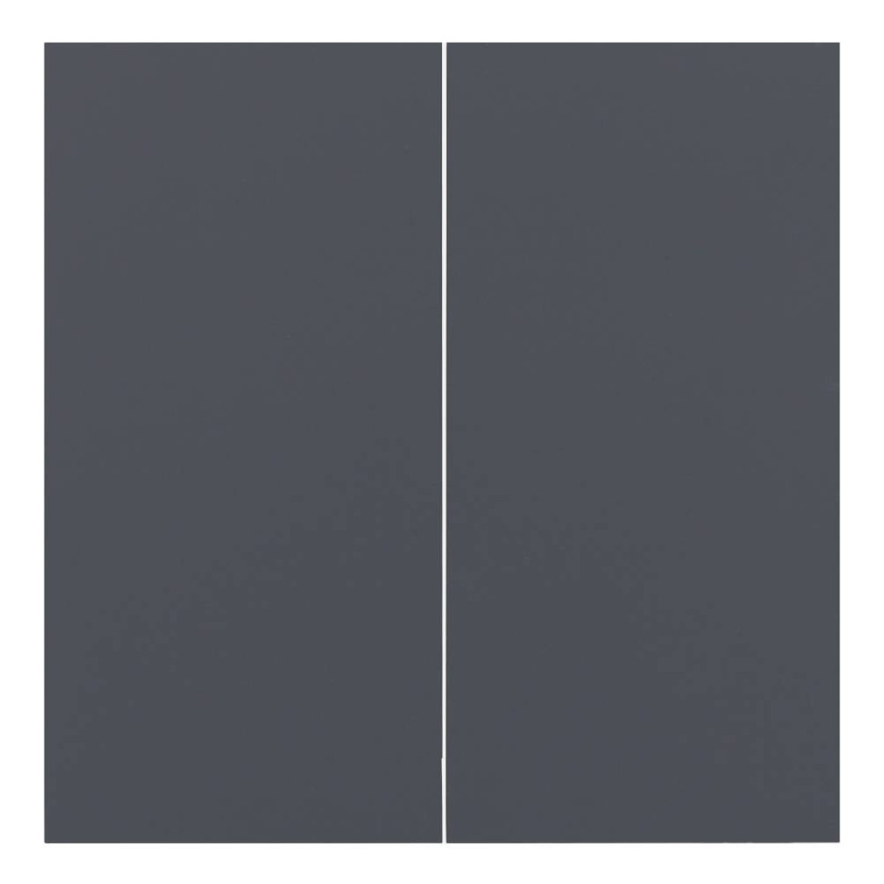 Лицевая панель выключателя 2 кл., Базальт, Rikett 35611 BT Лицевая панель выключателя 2 кл., Базальт, Rikett 35611 BT