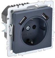 Розетка с З/К и USB зарядкой, тип А+А 2,1А, Маренго, Brite IEK BR-R14-16-U21-D21-K35