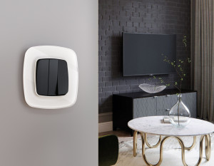 Рамка 2 местная стекло органическое, Белый, OMEGA Radian Ambrella Volt OF320102