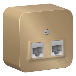 Розетка О/У двойная комп. RJ45 кат.5E + телеф. RJ11, Титан, Blanca SE BLNIA045114