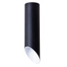 Потолочный светильник Arte Lamp Pilon A1622PL-1BK