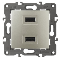Розетка USB для зарядки, Шампань, Эра Elegance 14-4110-04
