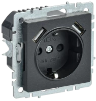 Розетка с З/К и USB зарядкой, тип А+А 2,1А, Черный, Brite IEK BR-R14-16-U21-D21-K02