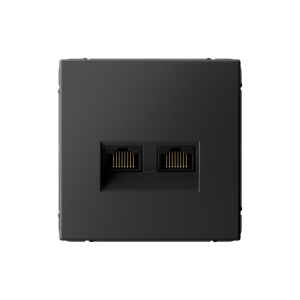Розетка компьютерная 2-ая RJ45 Cat. 5e, Базальт, ArtGallery SE GAL001485