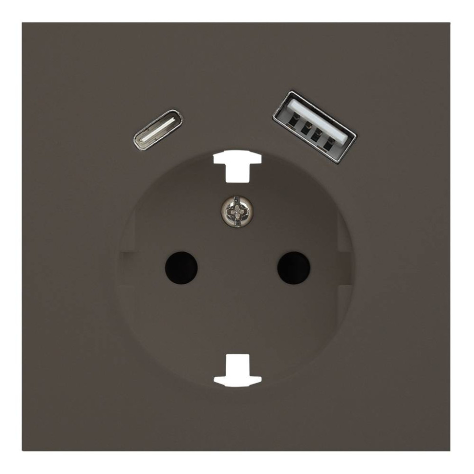 Лицевая панель розетки с З/К и USB зарядкой A+C, Капучино, Rikkett 35637 CP