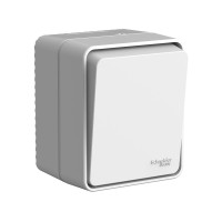 Выключатель 1 кл. проходной, влагозащищенный IP54, Серый, AtlasDesign Profi54 SE ATN543061